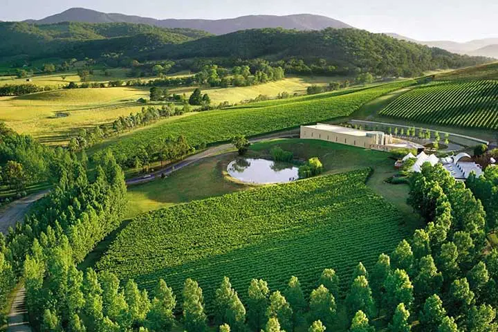 Half Day Yarra Valley Winery and Lunch Tour